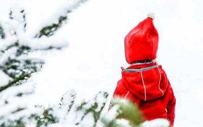 Stimmungsvoller Bio-Advent am ADAMAH BioHof 10. und 11. Dezember 2022