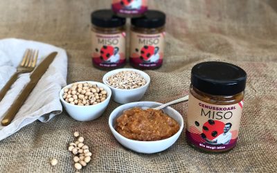 NEU NEU NEU: Mugi Miso