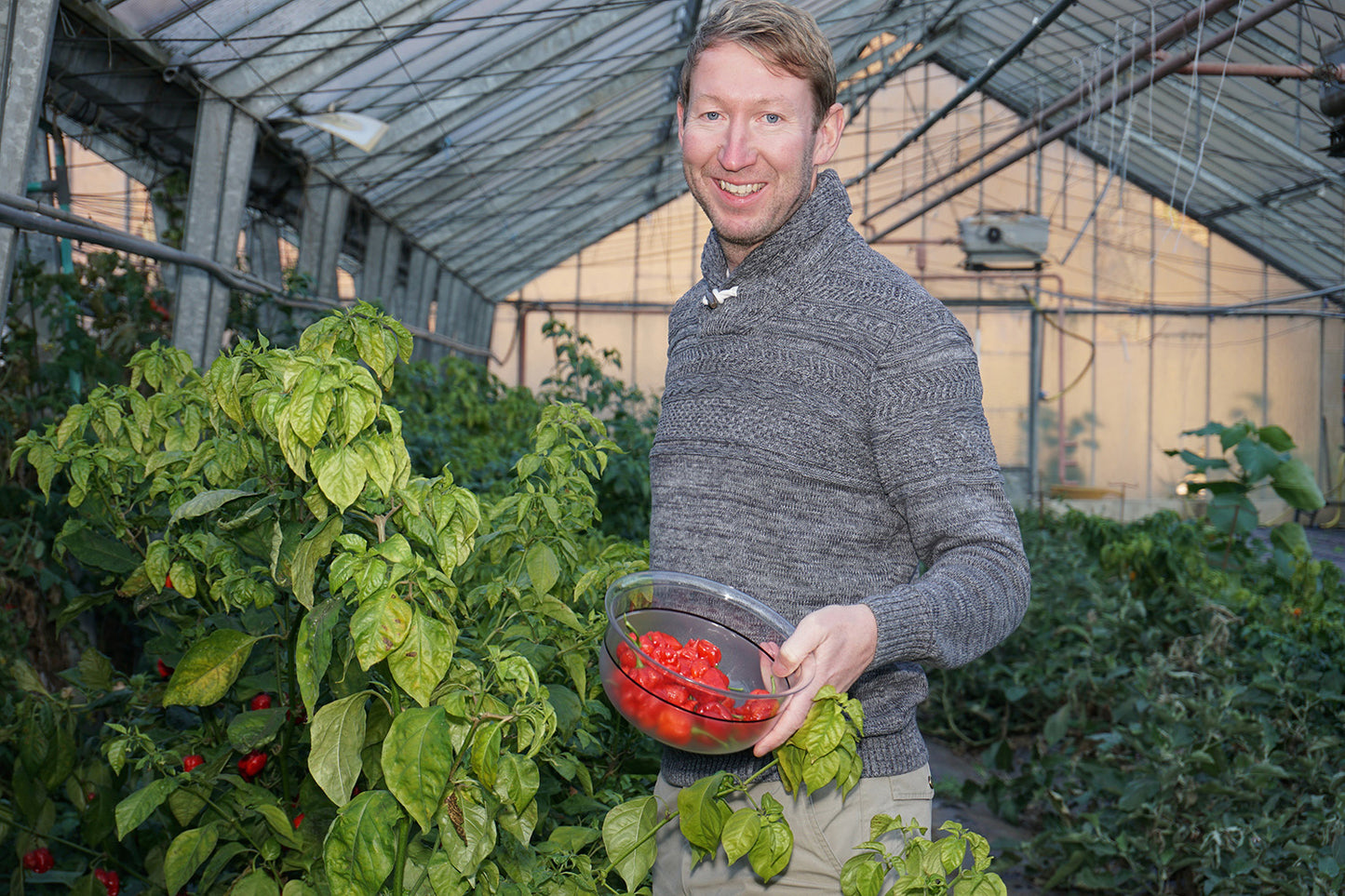 Thomas Schauer von Juliberg mit seinen Chilis