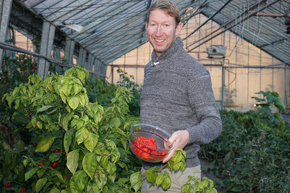 Thomas Schauer von Juliberg mit seinen Chilis